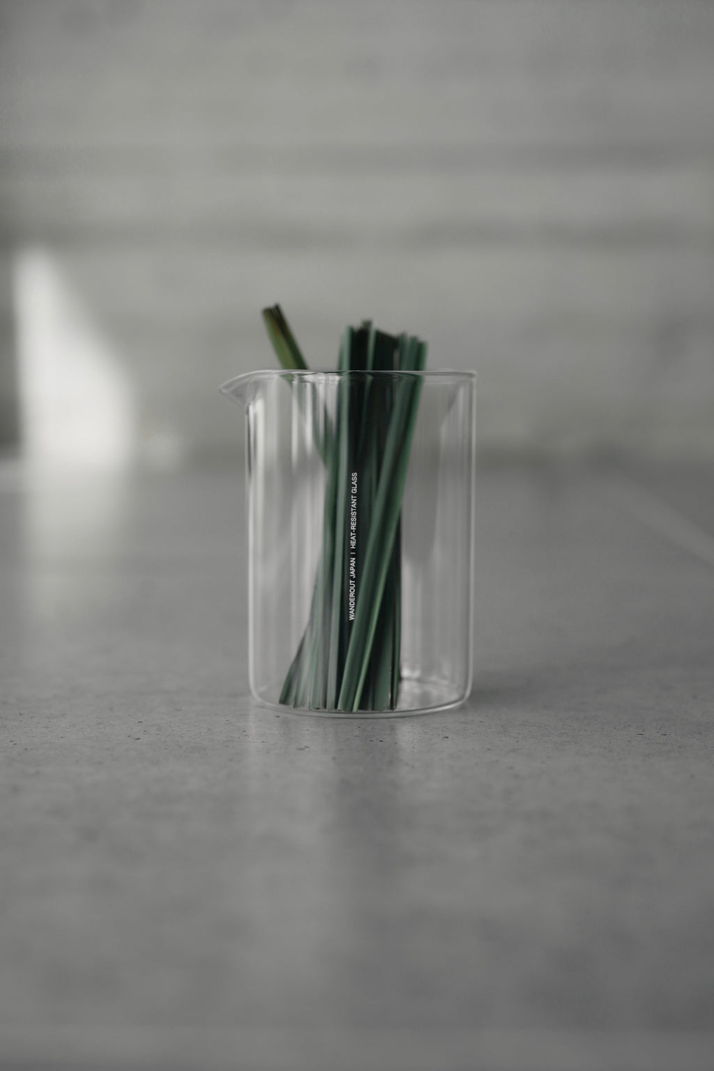 Borosil Vision Glass for Wanderout / Jug 500ml