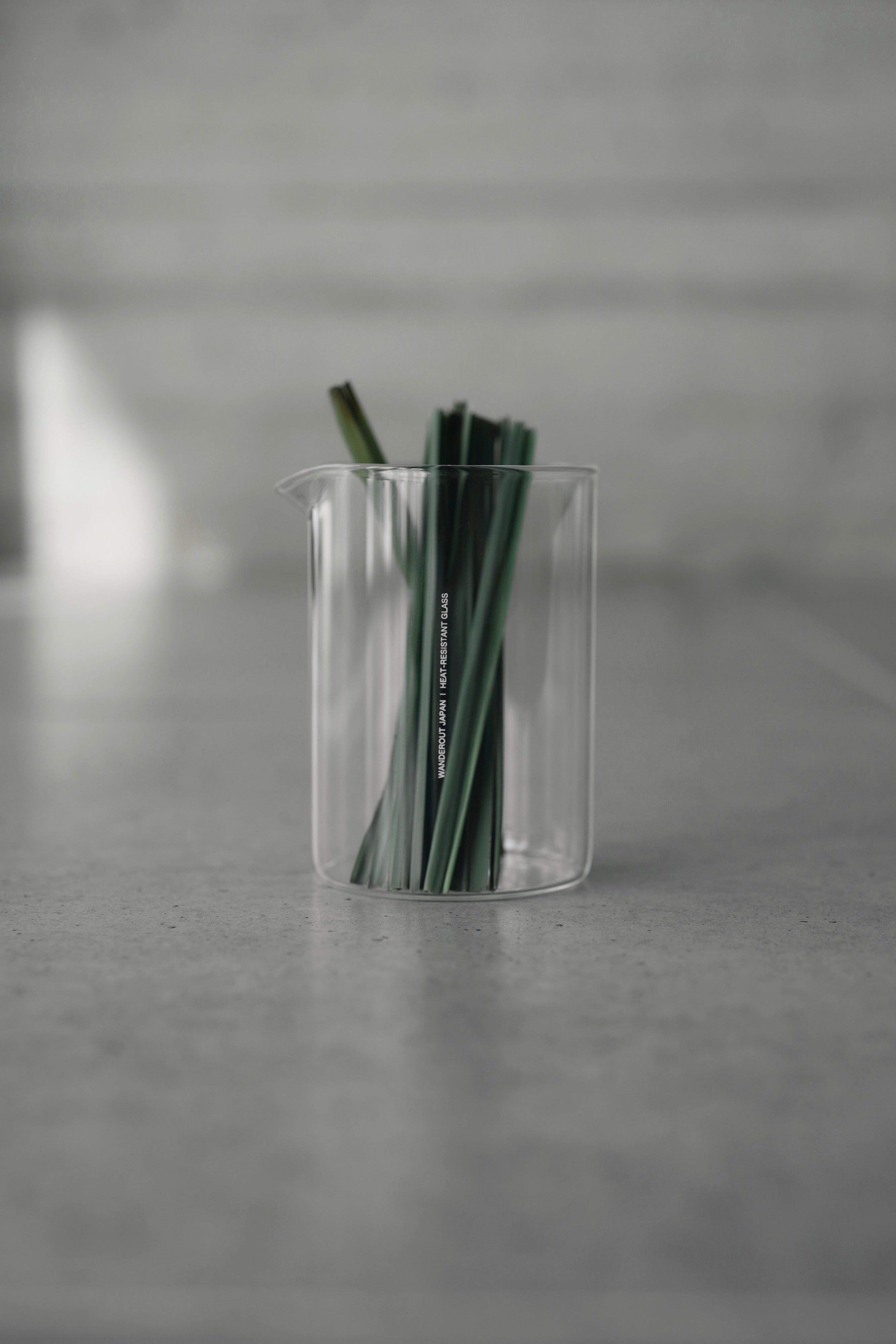 Borosil Vision Glass for Wanderout / Jug 500ml