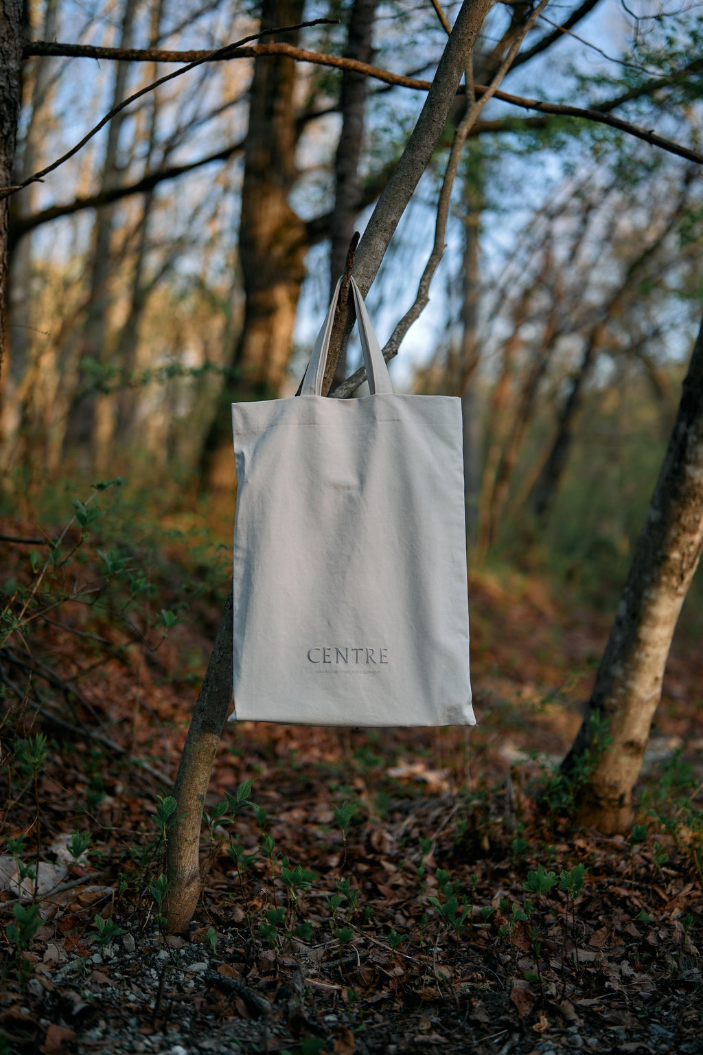 Centre / Big Tote Bag