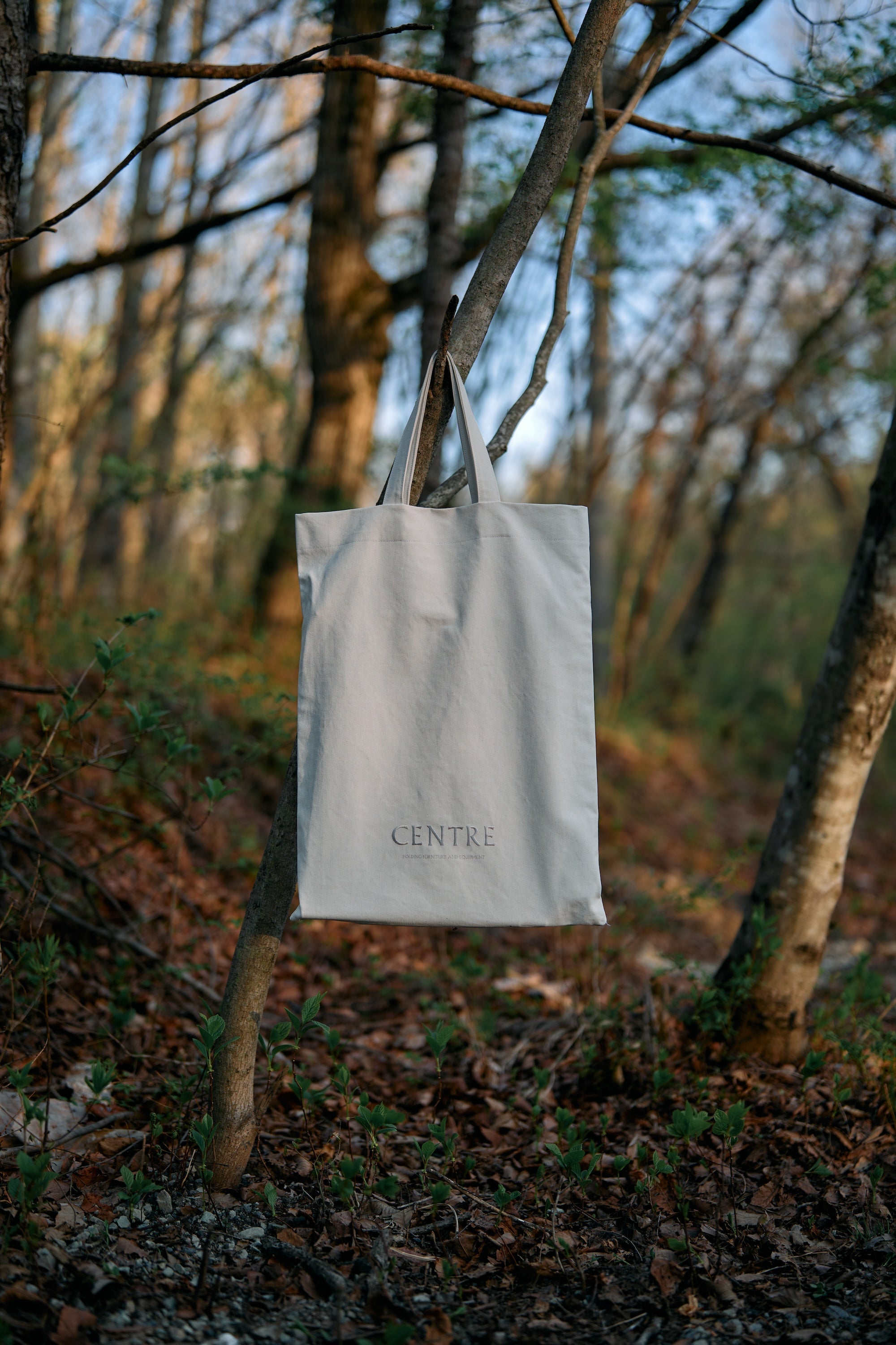Centre / Big Tote Bag