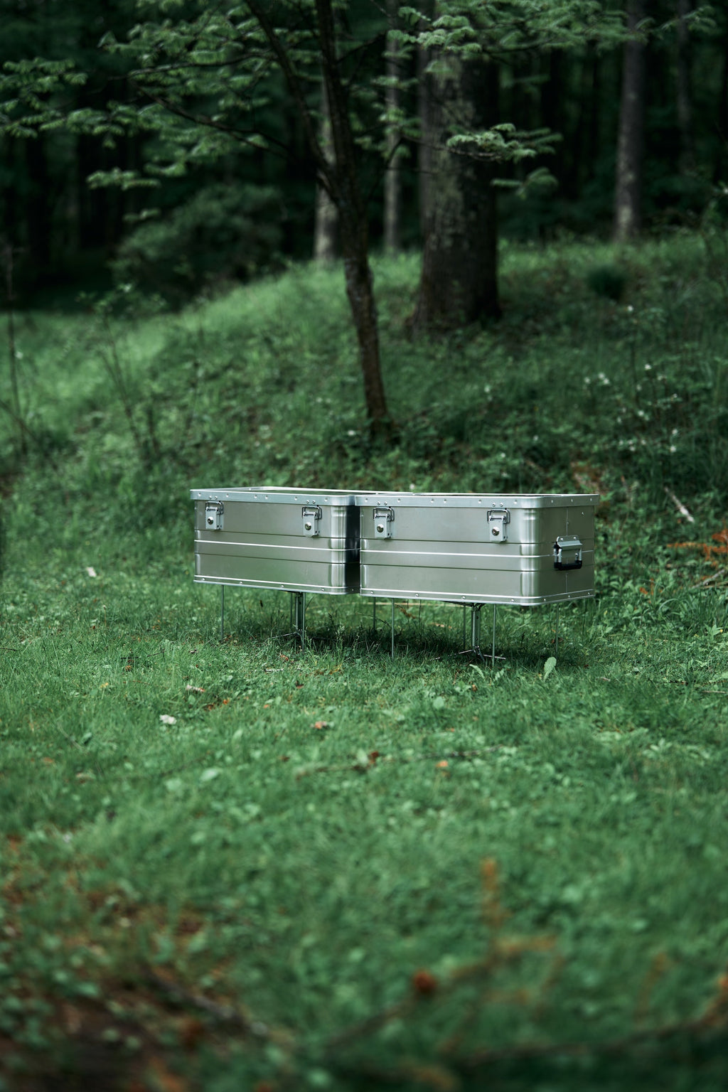 Wanderout / Universal Stand - Silver