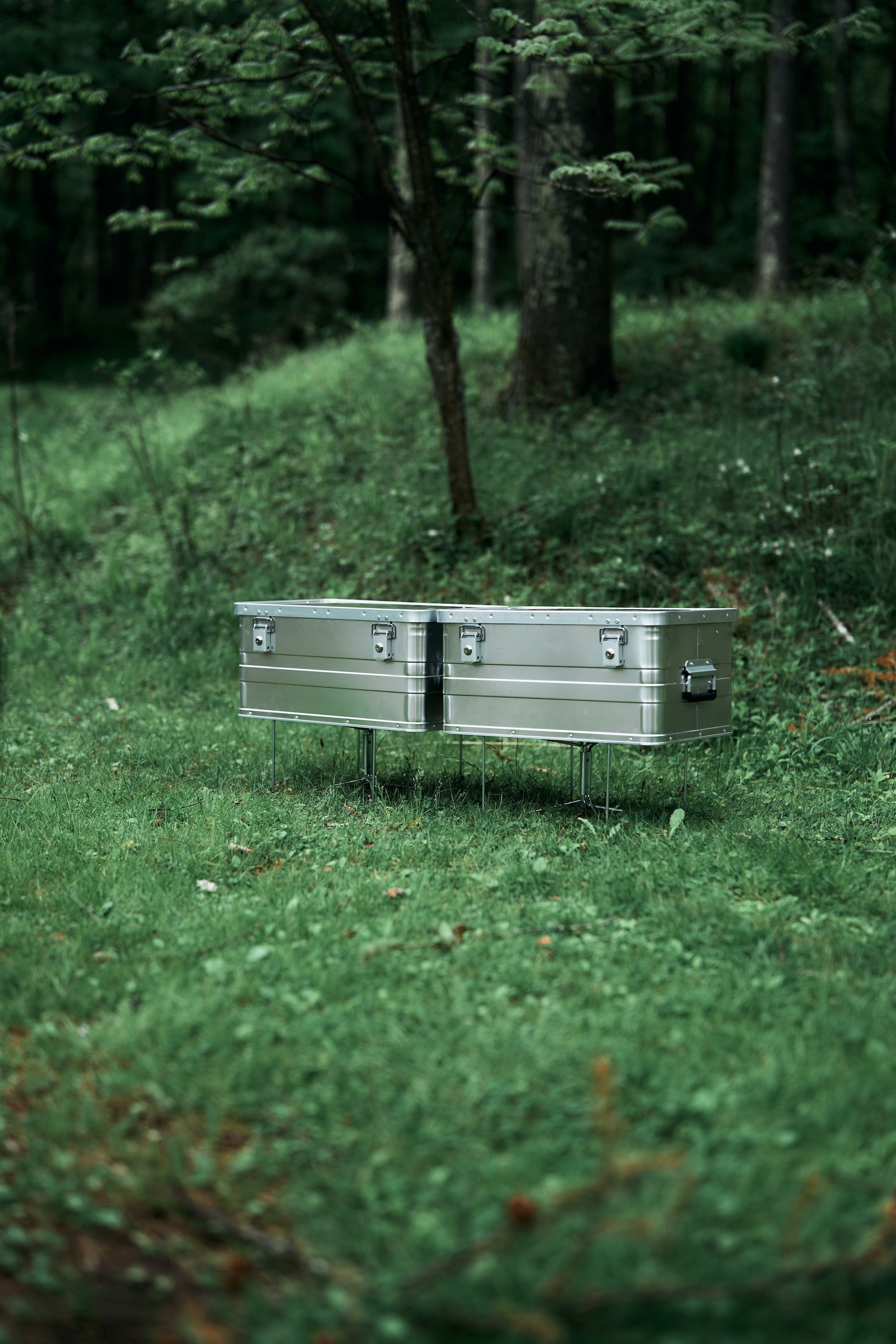 Wanderout / Universal Stand - Silver