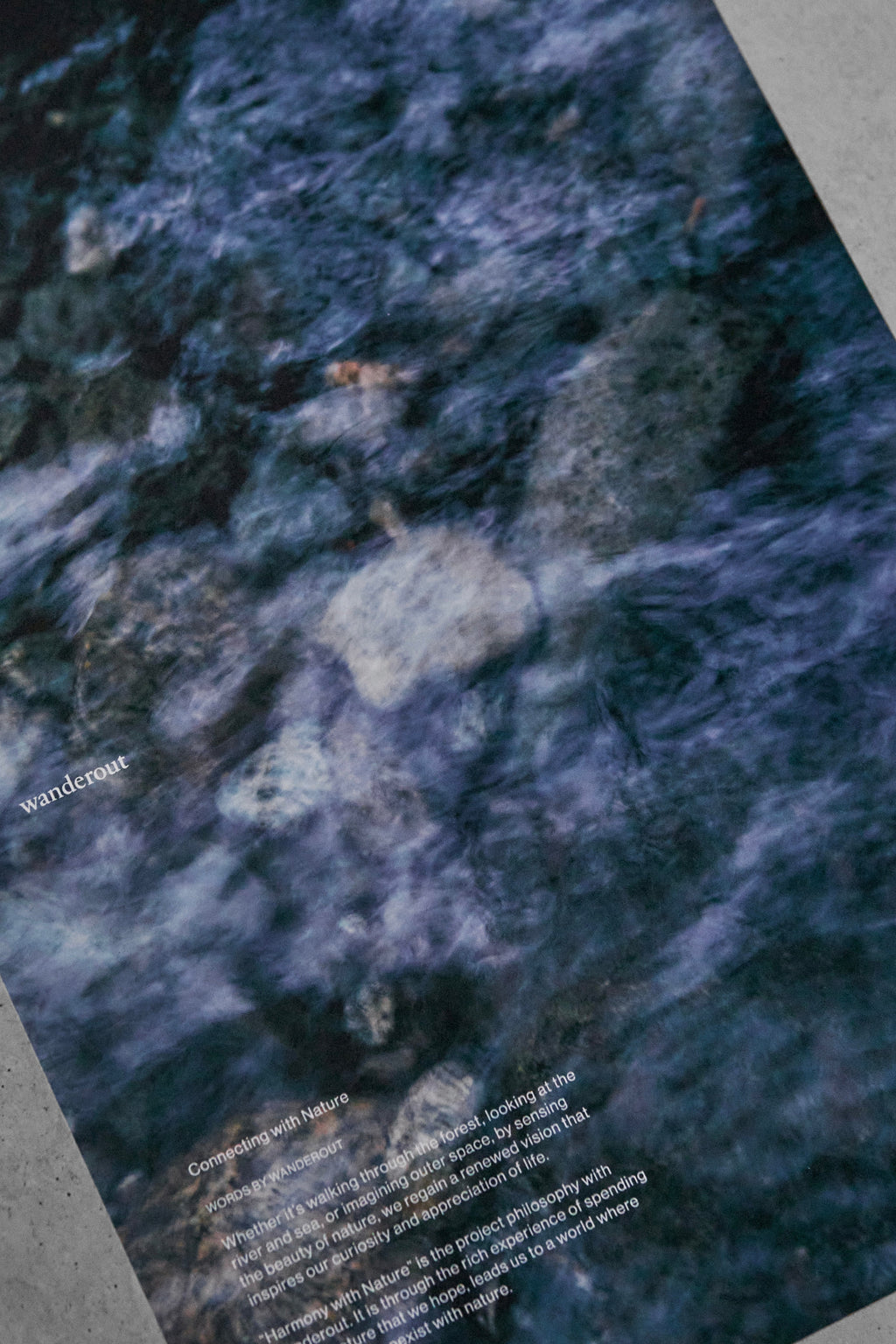 Sort for Wanderout / Limited Edition Poster 2