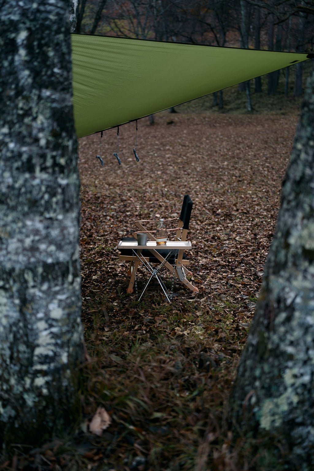 Wanderout / Universal Plate 00