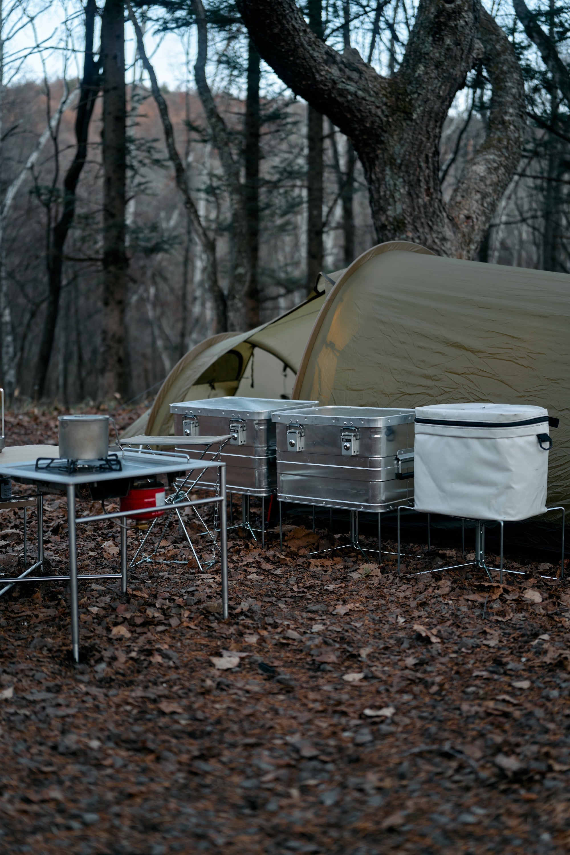 Wanderout / Universal Stand - Silver